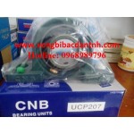 GỐI ĐỠ-Ổ BI-BẠC ĐẠN CNB UCP207